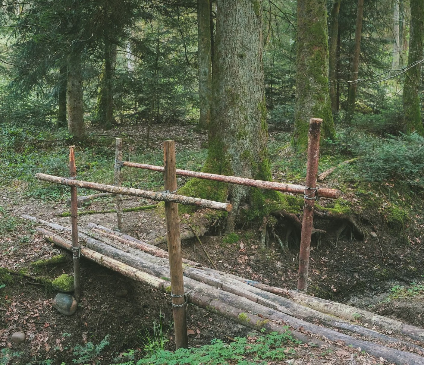 Oude houten brug in een natuurlijke omgeving